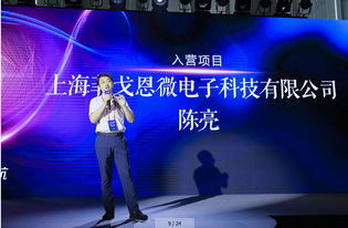 實(shí)力不容小覷的25家中國(guó)芯企業(yè) 硬核實(shí)力與計(jì)算機(jī)軟硬件技術(shù)開(kāi)發(fā)深度剖析